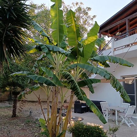 La Casa Del Noce Villa Ruffano Eksteriør bilde