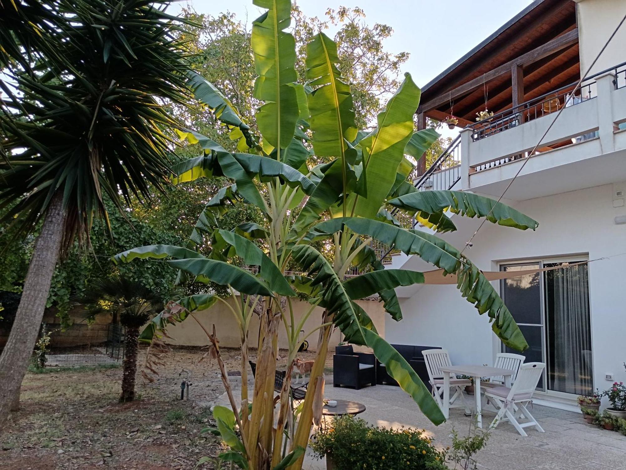 La Casa Del Noce Villa Ruffano Eksteriør bilde