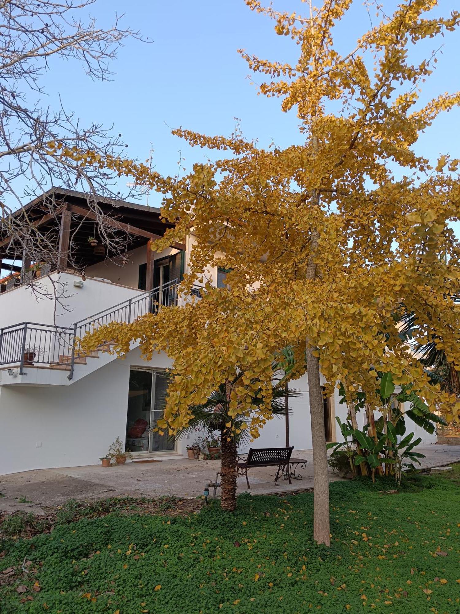 La Casa Del Noce Villa Ruffano Eksteriør bilde